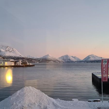 Aurora Harbour House Villa Lodingen Exterior photo
